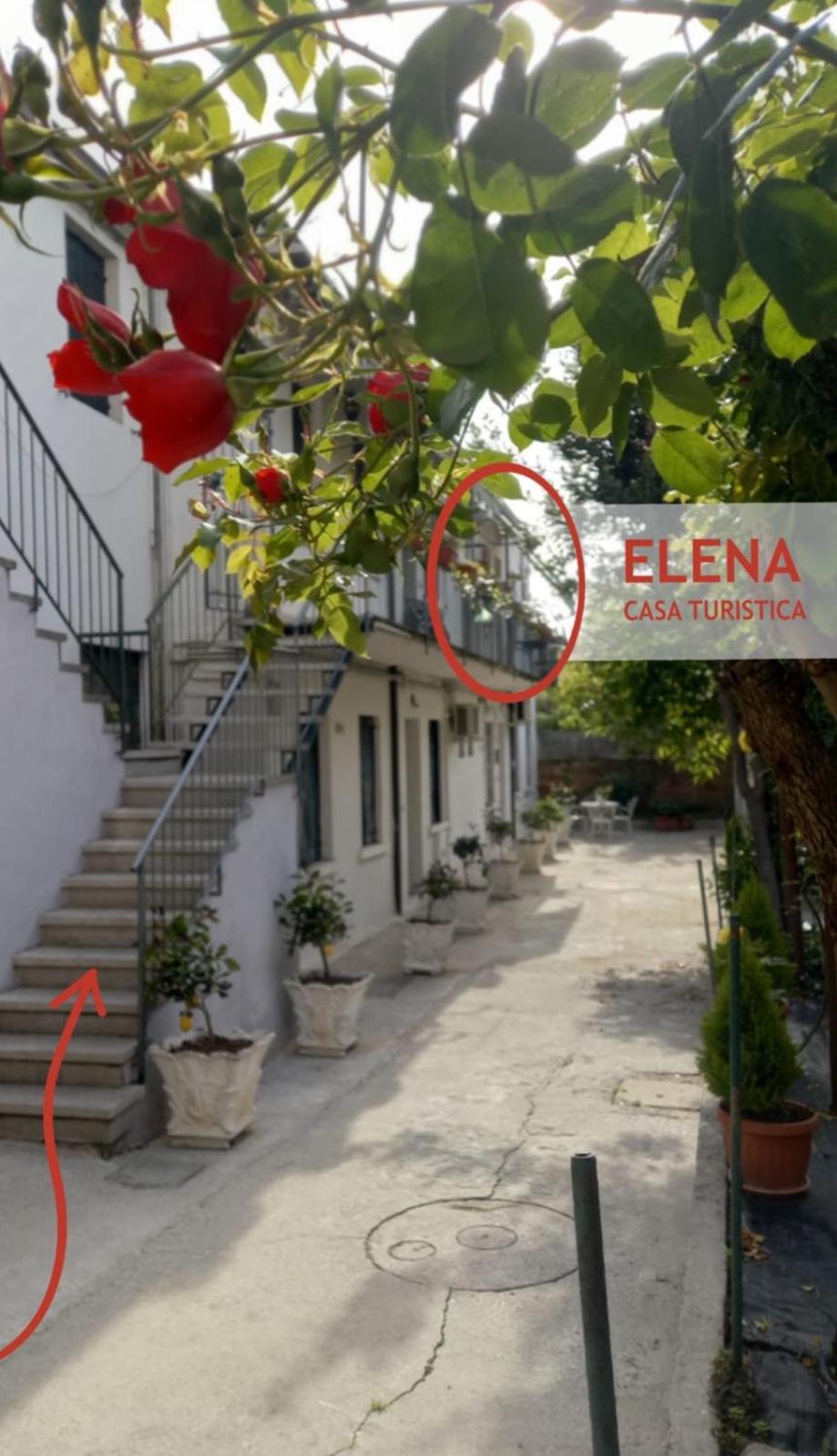 Elena Casa Turistica Apartment